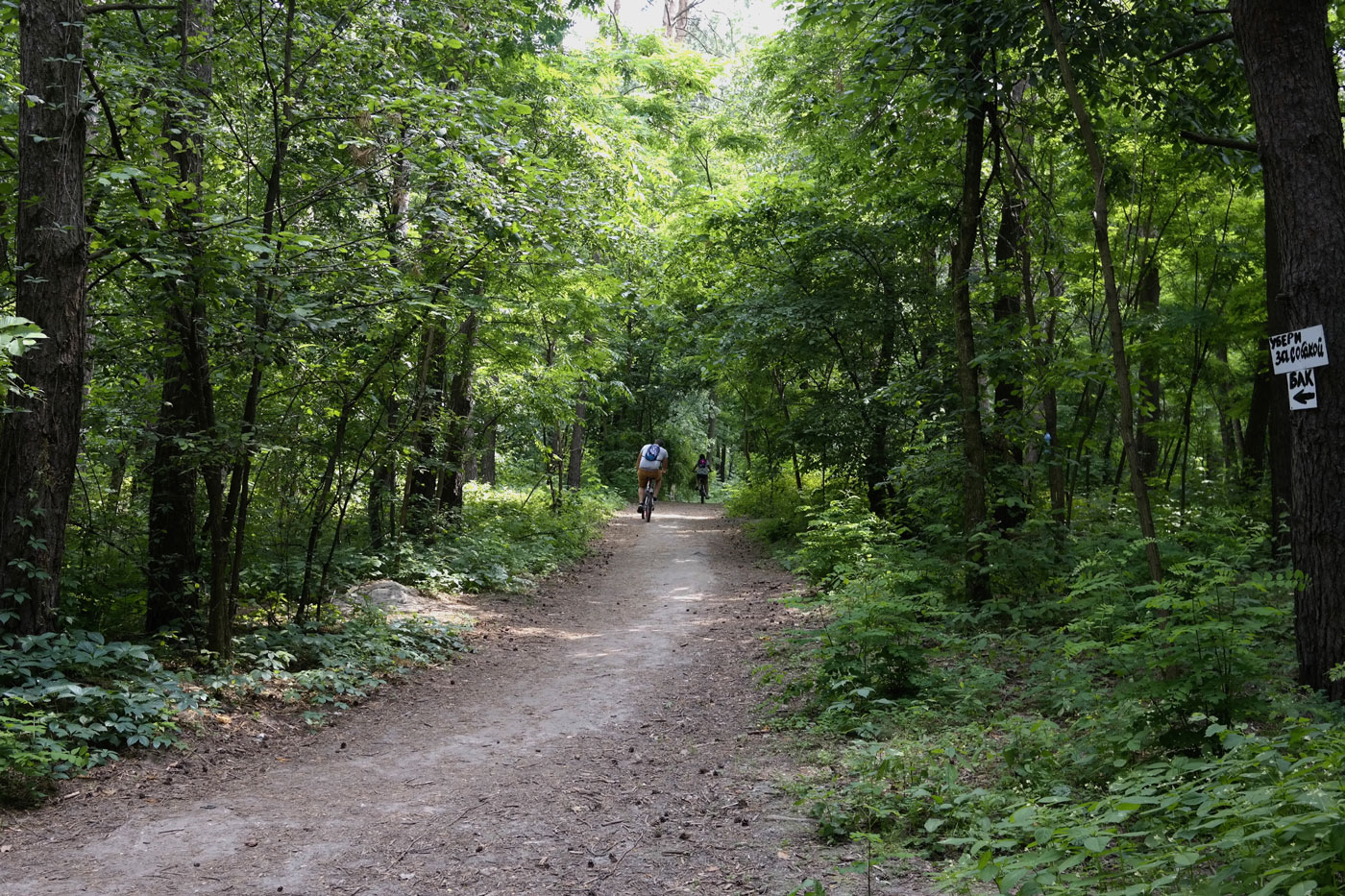 Nur wenige waren Heute Unterweg im Wald